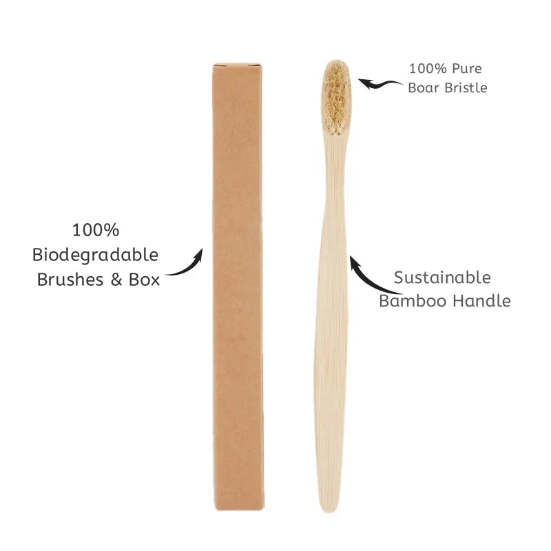 Five Natural-Bristle Toothbrushes - Sustainably Harvested