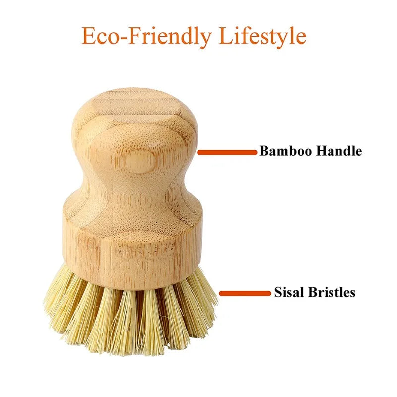Bamboo Dish Scrub Brushes - Naturally Antimicrobial & Fully Compostable - GreenBox