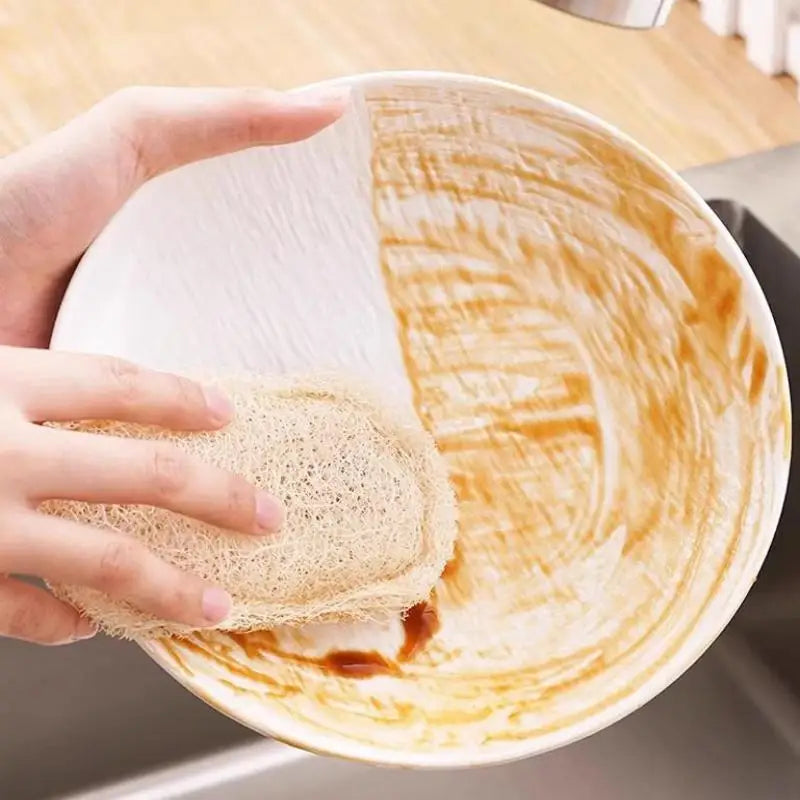 6-Piece Natural Luffa Sponge Collection - 100% Biodegradable & Plant-Based - GreenBox