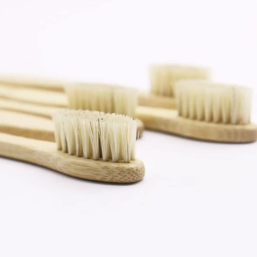Five Natural-Bristle Toothbrushes - Sustainably Harvested - GreenBox