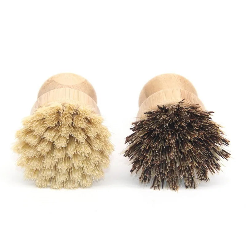 Bamboo Dish Scrub Brushes - Naturally Antimicrobial & Fully Compostable - GreenBox