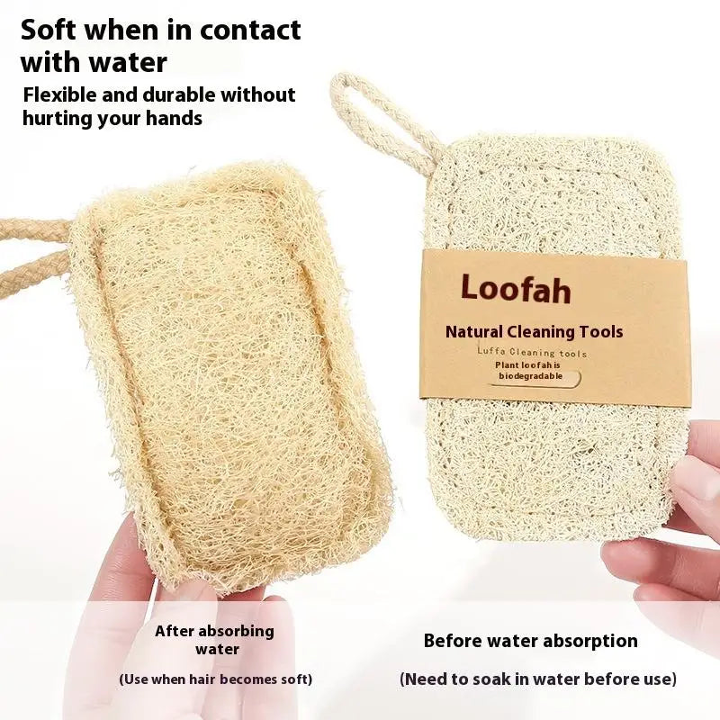 6-Piece Natural Luffa Sponge Collection - 100% Biodegradable & Plant-Based - GreenBox